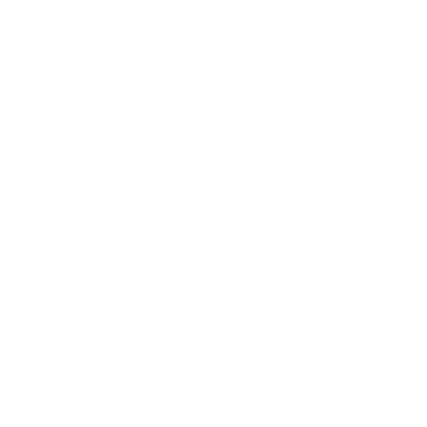 FIDS MX